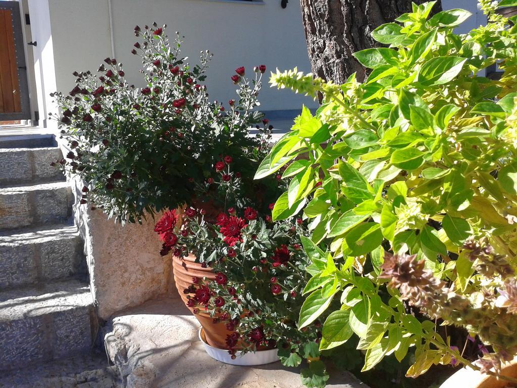 Niriides Apartment Galaxidi Ruang foto